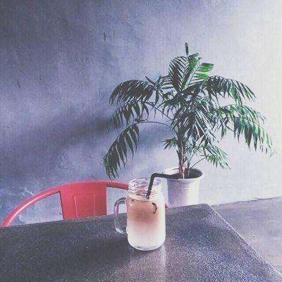 阴阳大乱斗游戏下载